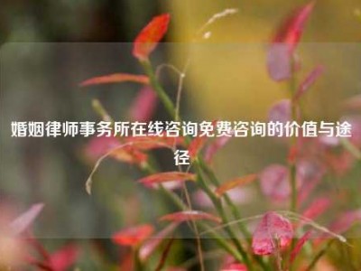 婚姻律师事务所在线咨询免费咨询的价值与途径