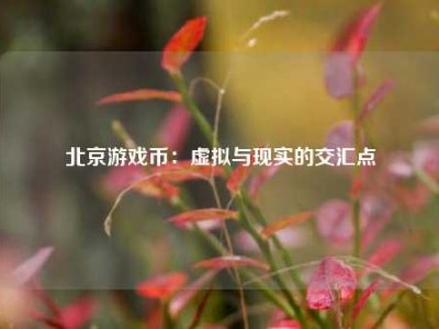 北京游戏币：虚拟与现实的交汇点