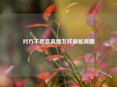 对方不愿意离婚怎样做能离婚