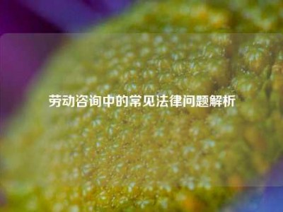劳动咨询中的常见法律问题解析