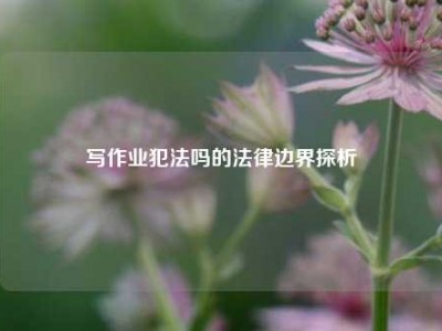 写作业犯法吗的法律边界探析