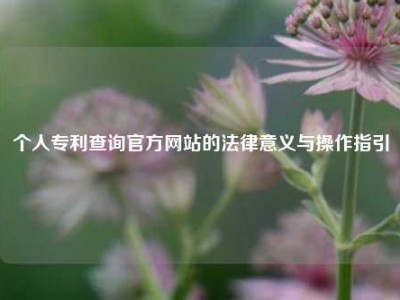 个人专利查询官方网站的法律意义与操作指引