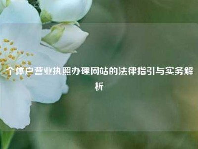 个体户营业执照办理网站的法律指引与实务解析