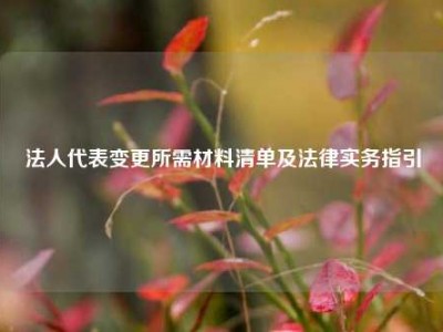法人代表变更所需材料清单及法律实务指引