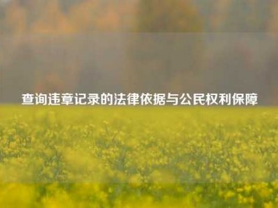 查询违章记录的法律依据与公民权利保障