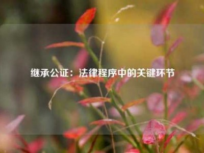 继承公证：法律程序中的关键环节