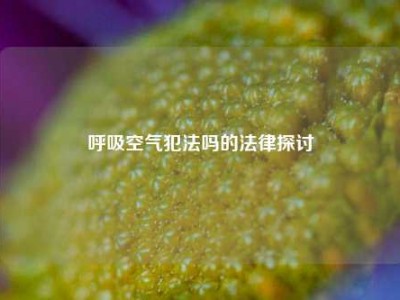 呼吸空气犯法吗的法律探讨