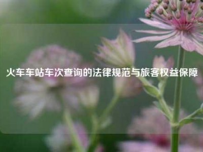 火车车站车次查询的法律规范与旅客权益保障