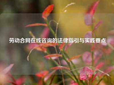 劳动合同在线咨询的法律指引与实践要点