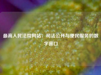 最高人民法院网站：司法公开与便民服务的数字窗口