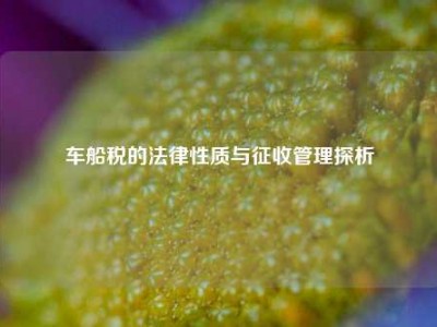 车船税的法律性质与征收管理探析