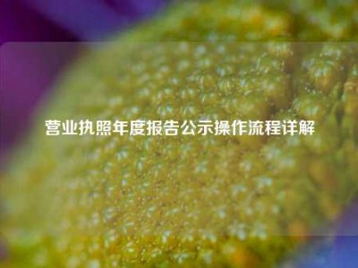 营业执照年度报告公示操作流程详解