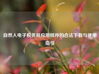 自然人电子税务局应用程序的合法下载与使用指引