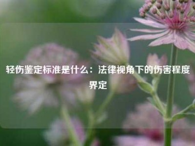 轻伤鉴定标准是什么：法律视角下的伤害程度界定