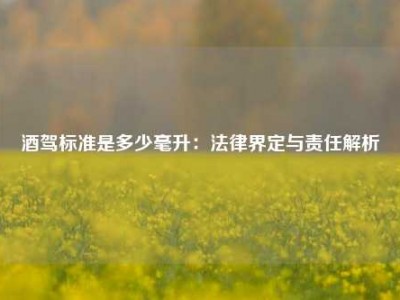酒驾标准是多少毫升：法律界定与责任解析