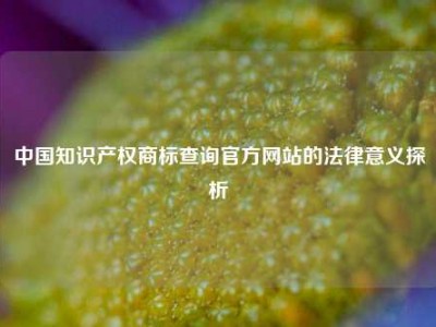中国知识产权商标查询官方网站的法律意义探析