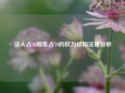 法人占30股东占70的权力结构法律分析
