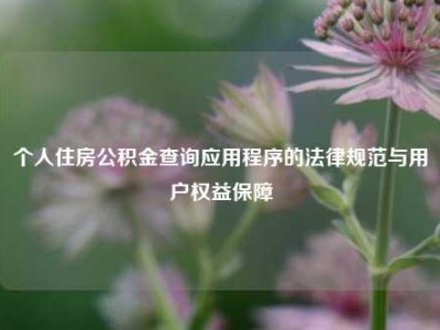 个人住房公积金查询应用程序的法律规范与用户权益保障