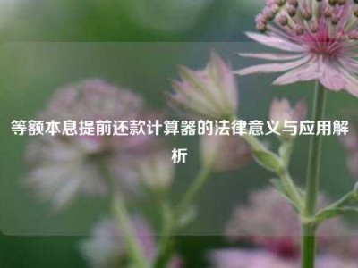 等额本息提前还款计算器的法律意义与应用解析