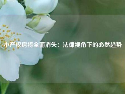 小产权房将全面消失：法律视角下的必然趋势