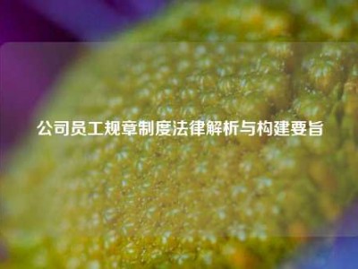 公司员工规章制度法律解析与构建要旨
