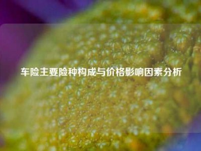 车险主要险种构成与价格影响因素分析