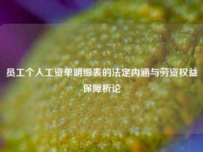 员工个人工资单明细表的法定内涵与劳资权益保障析论
