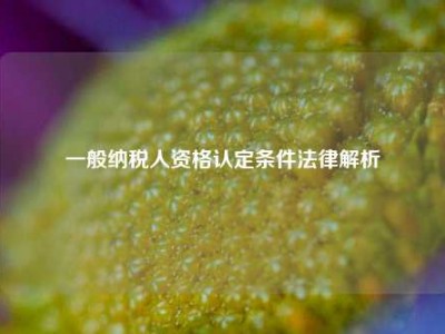 一般纳税人资格认定条件法律解析