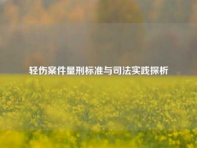 轻伤案件量刑标准与司法实践探析