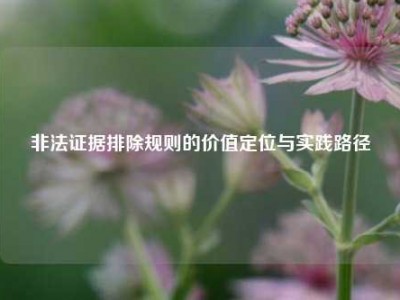非法证据排除规则的价值定位与实践路径