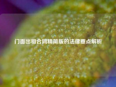 门面出租合同精简版的法律要点解析