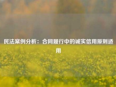 民法案例分析：合同履行中的诚实信用原则适用