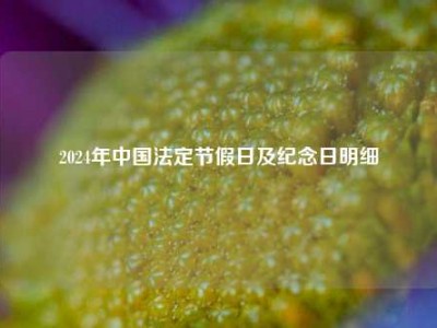 2024年中国法定节假日及纪念日明细