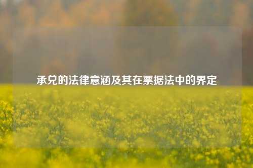 承兑的法律意涵及其在票据法中的界定
