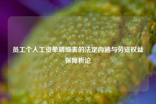 员工个人工资单明细表的法定内涵与劳资权益保障析论