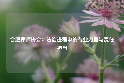 合肥律师协会：法治进程中的专业力量与责任担当