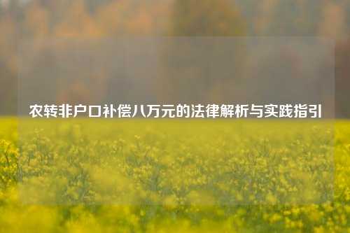 农转非户口补偿八万元的法律解析与实践指引