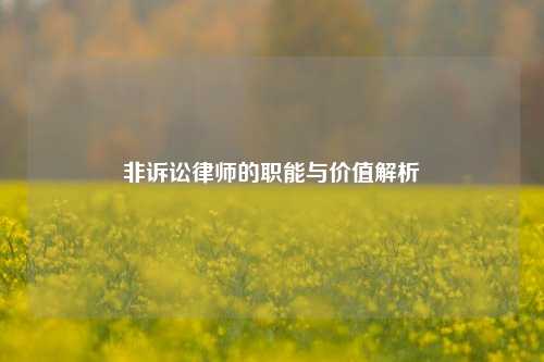 非诉讼律师的职能与价值解析