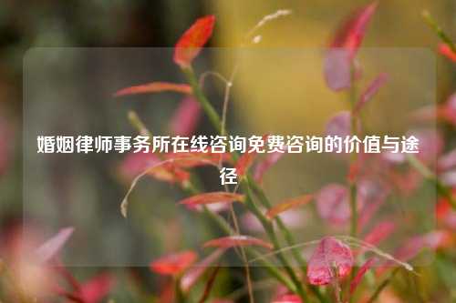 婚姻律师事务所在线咨询免费咨询的价值与途径