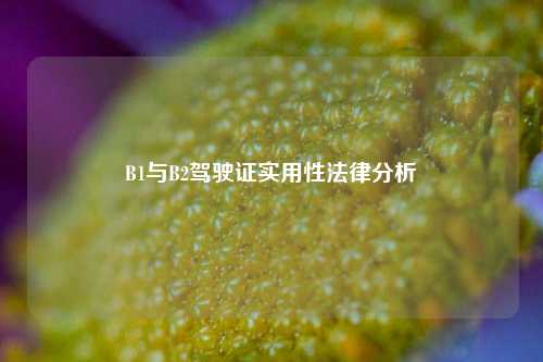 B1与B2驾驶证实用性法律分析