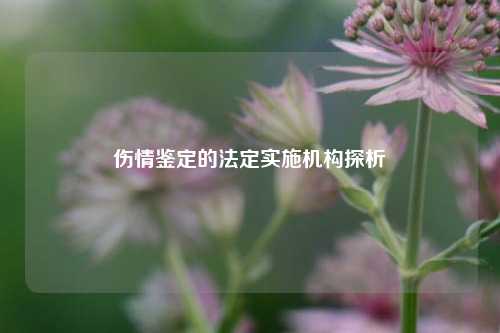 伤情鉴定的法定实施机构探析