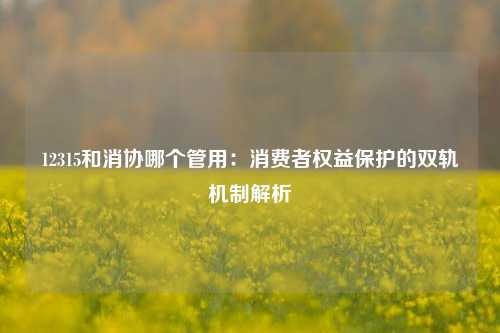 12315和消协哪个管用：消费者权益保护的双轨机制解析