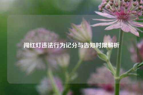闯红灯违法行为记分与告知时限解析
