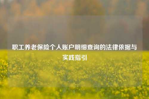 职工养老保险个人账户明细查询的法律依据与实践指引