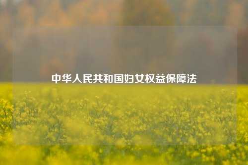 中华人民共和国妇女权益保障法