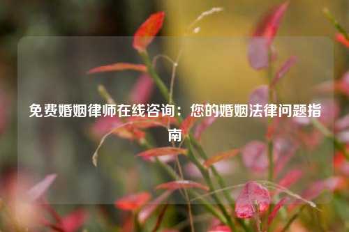 免费婚姻律师在线咨询:您的婚姻法律问题指南